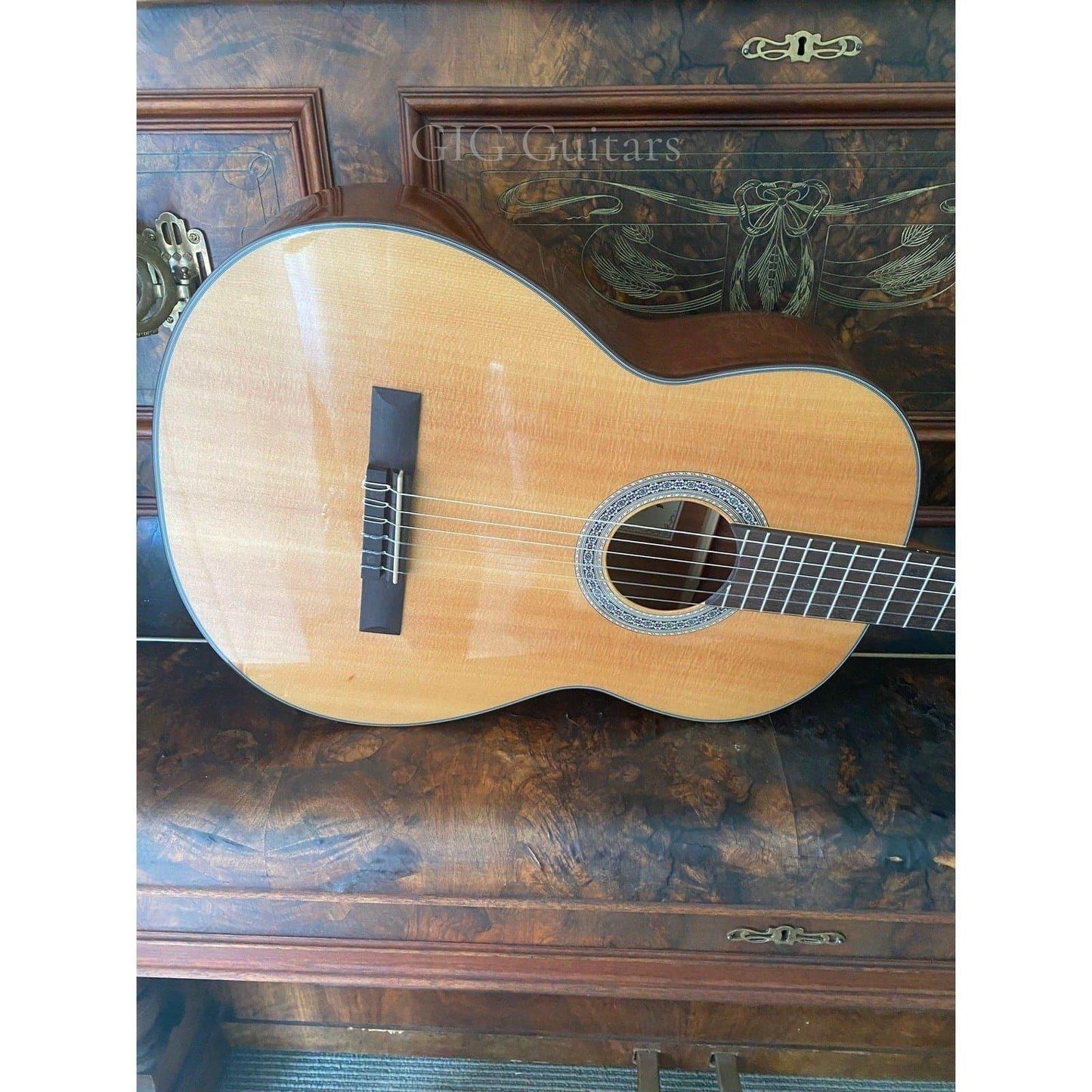 Classical Guitar Cort GIG Guitars