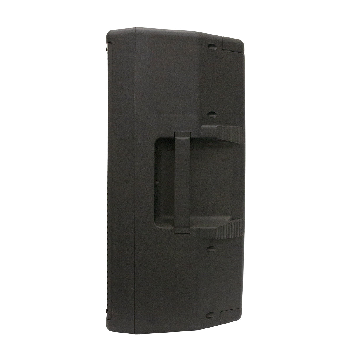 Italian Stage 12" bi-active two way speaker with Media Player