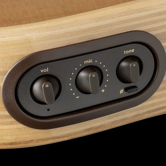 LR Baggs AEG-1 High-performance Acoustic Electric Guitar Sitka Spruce Sunburst