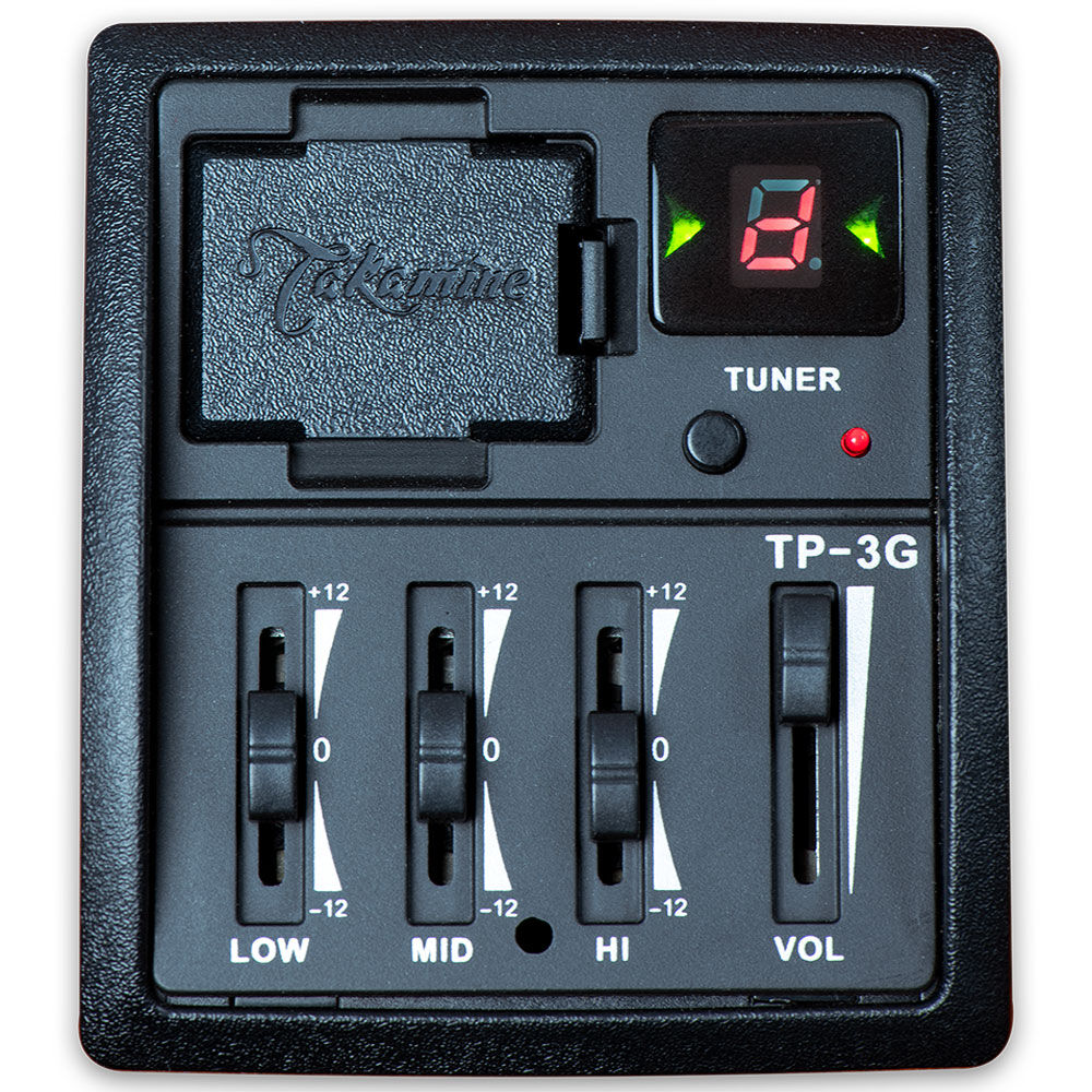 Takamine G11 Series Dreadnought AC/EL Guitar in Natural Satin Finish