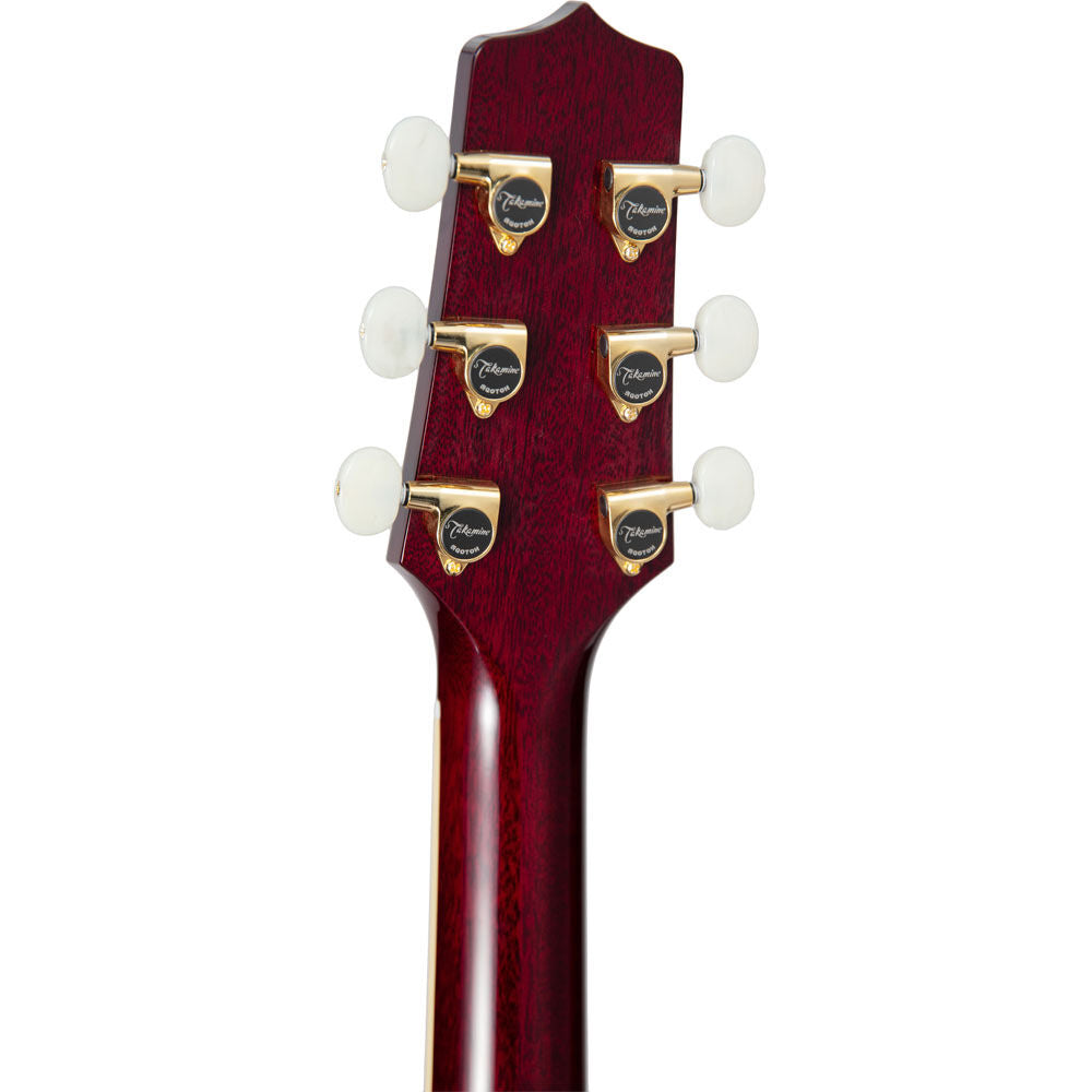 Takamine JJ325SRC John Jorgenson Guitar | Artist Series