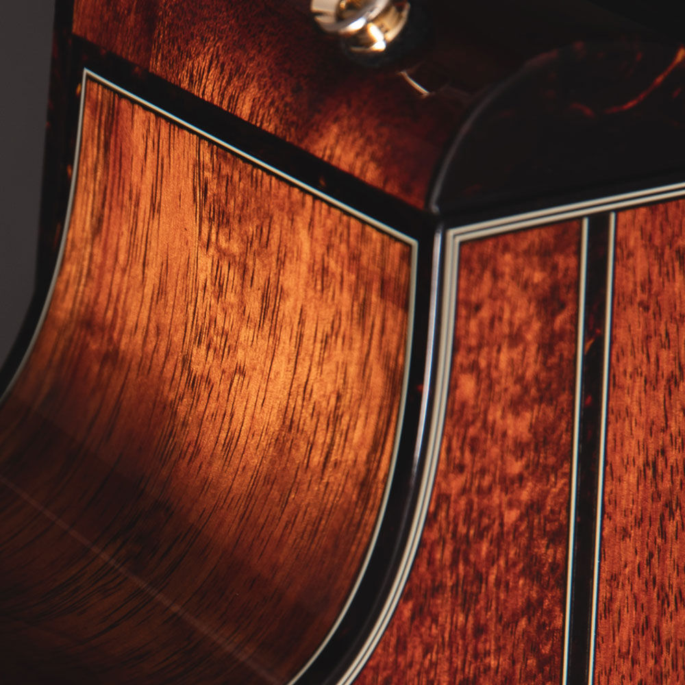 Takamine 2025 Limited Edition Series OM AC/EL Guitar with Cutaway Takamine Acoustic Guitars