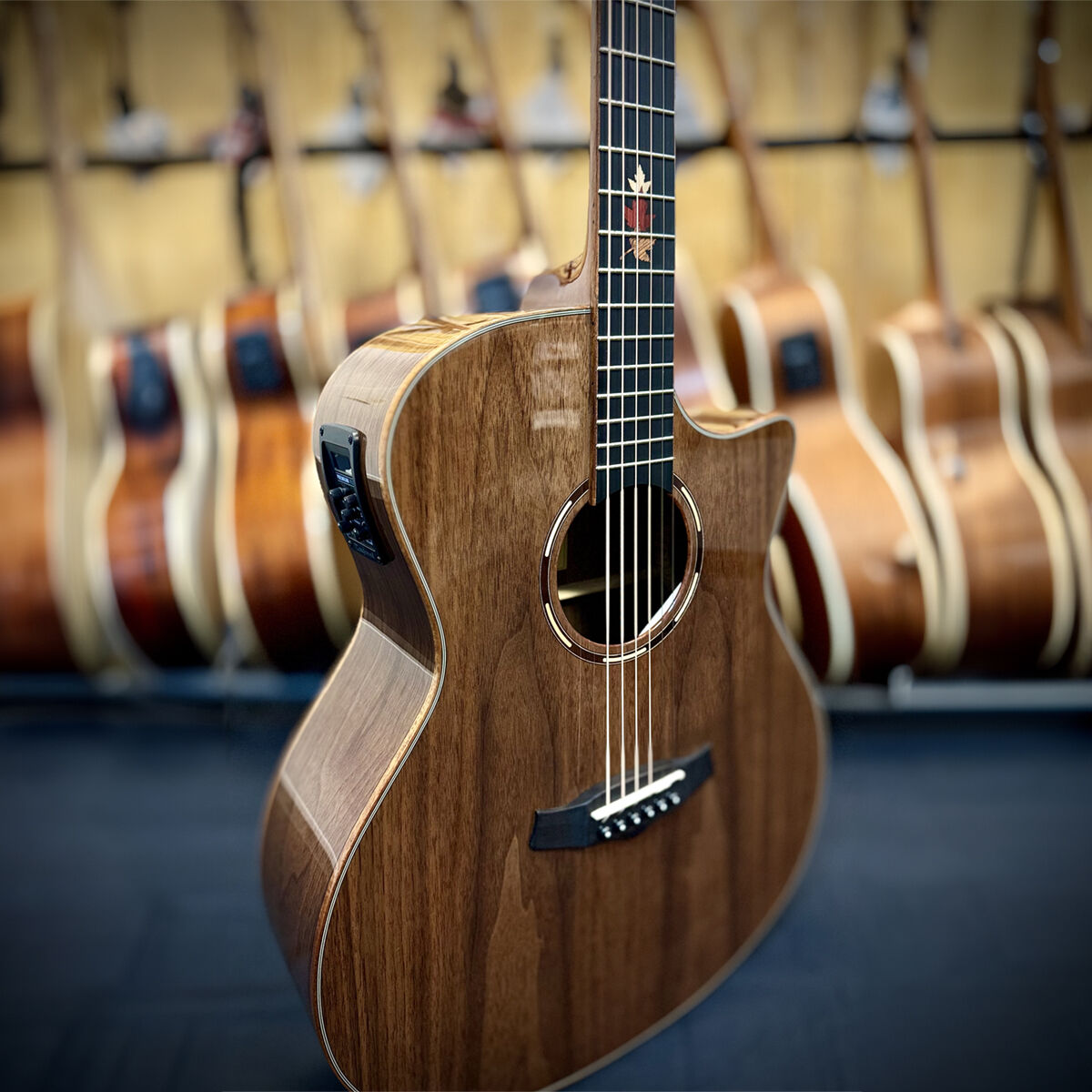 Tanglewood Winterleaf Exotic Superfolk Solid Top Venetian C/E Guitar all Black Walnut Acoustic Guitars
