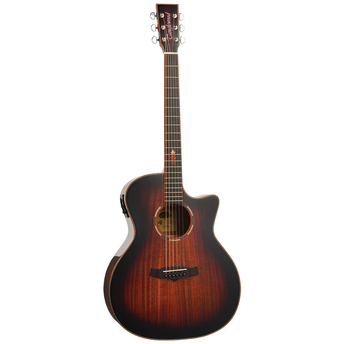 Tanglewood Winterleaf Pro Exotic Grand Auditorium Venetian C/E Koa Acoustic Guitars