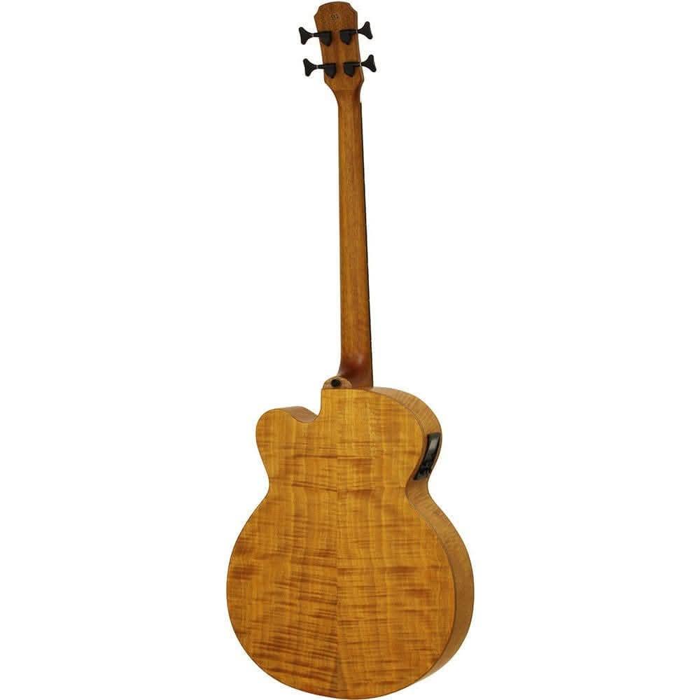 Aria FEB-F2/FL Elecord Series Fretless AC/EL Bass Guitar in Stained Brown