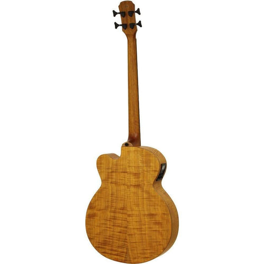 Aria FEB-F2/FL Elecord Series Fretless AC/EL Bass Guitar in Stained Brown Aria Acoustic/Electric Bass Guitars