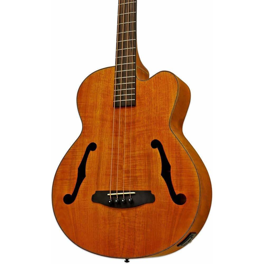 Aria FEB-F2M Elecord Series Medium Scale AC/EL Bass Guitar in Stained Brown Aria Acoustic/Electric Bass Guitars