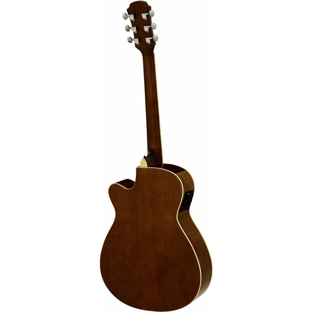Acoustic/Electric Guitars Aria GIG Guitars