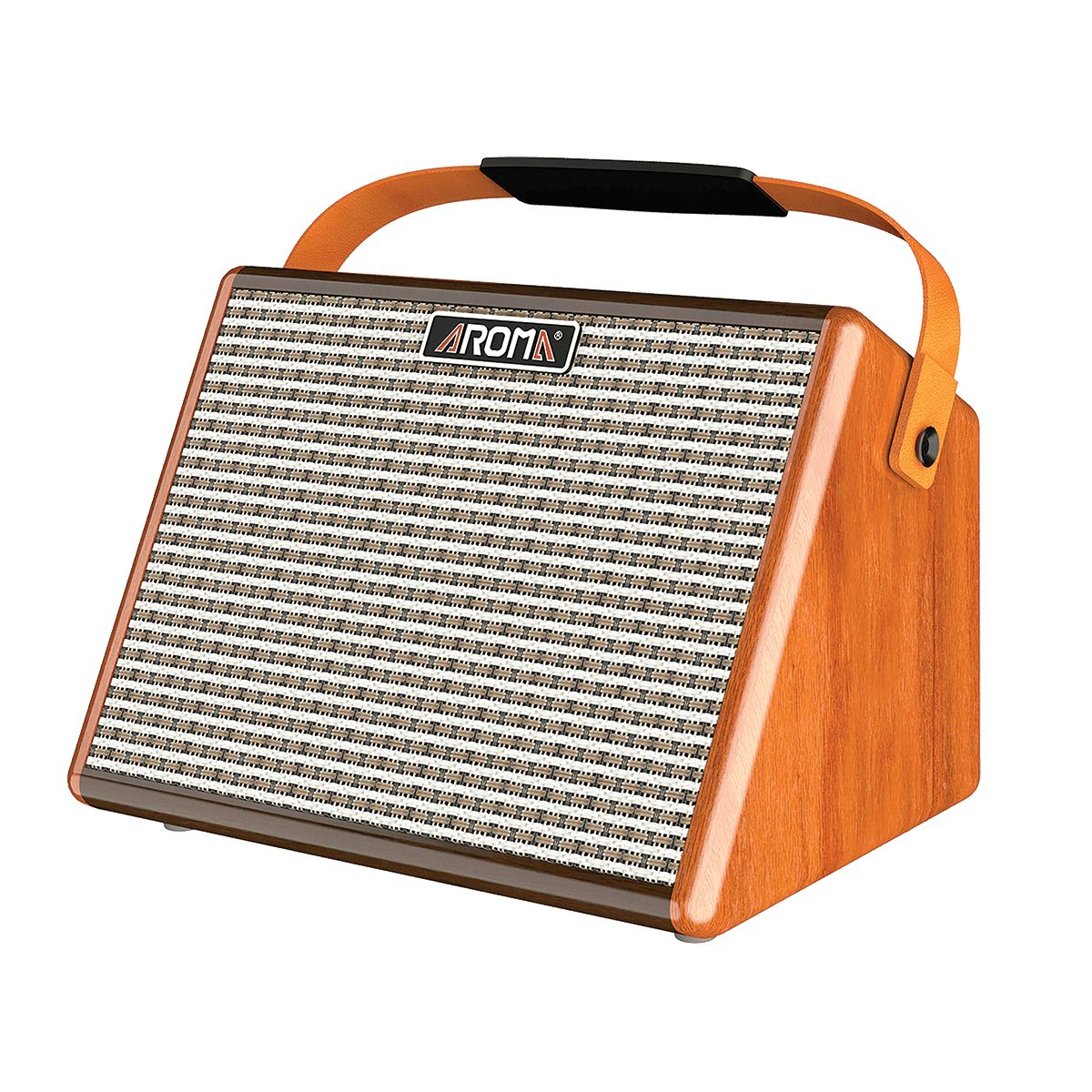 Acoustic Amps Aroma GIG Guitars