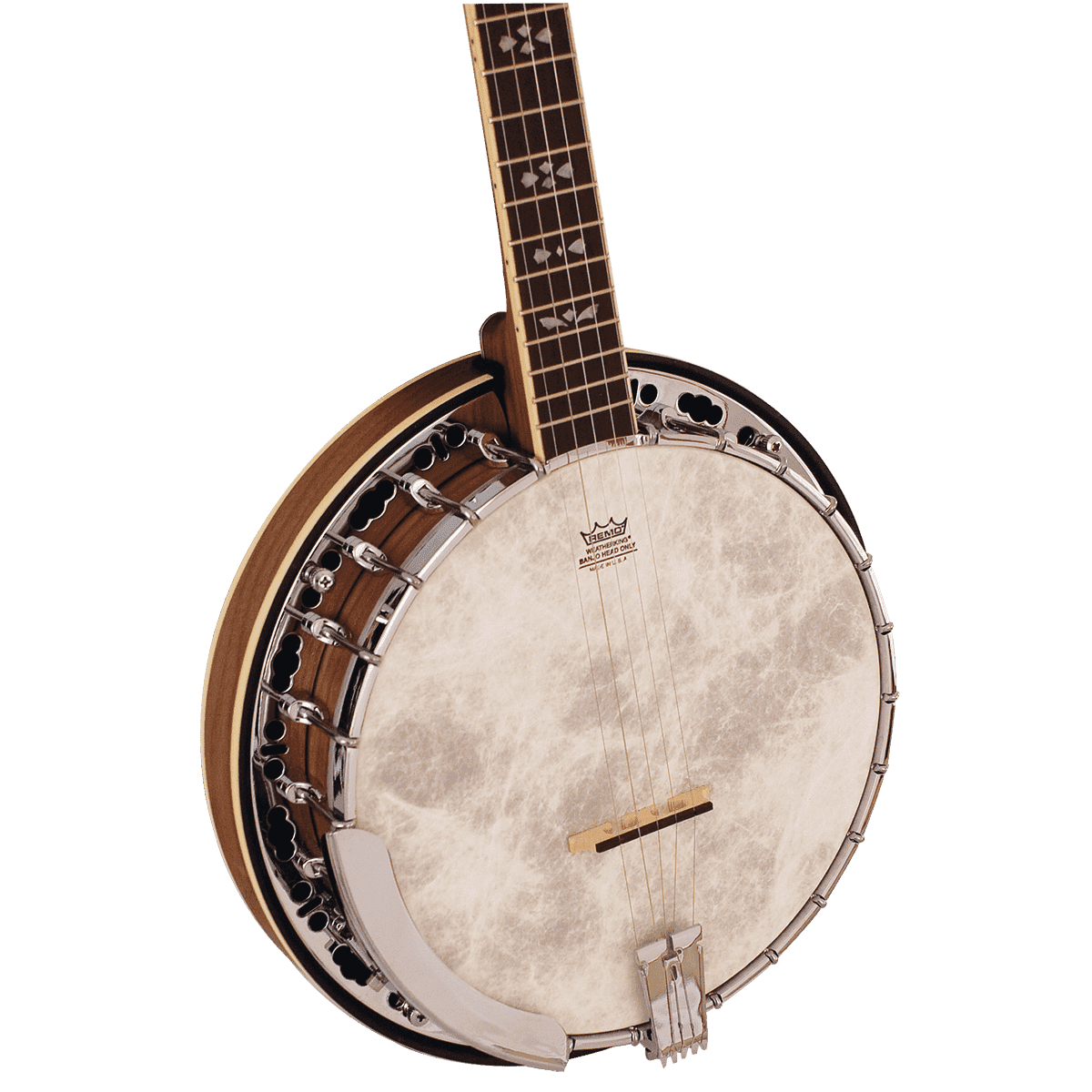 Barnes & Mullins BJ500BW Empress 5-String Banjo Barnes & Mullins Banjo