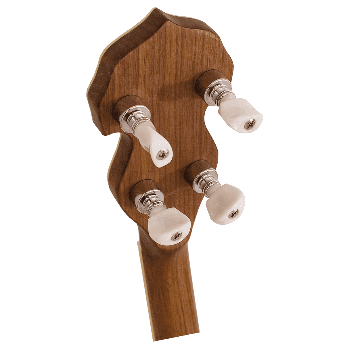 Barnes & Mullins BJ500BW Empress 5-String Banjo Barnes & Mullins Banjo