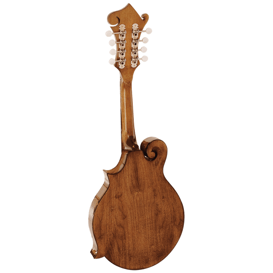 Barnes & Mullins BM650 Salvino Mandolin Barnes & Mullins Mandolin