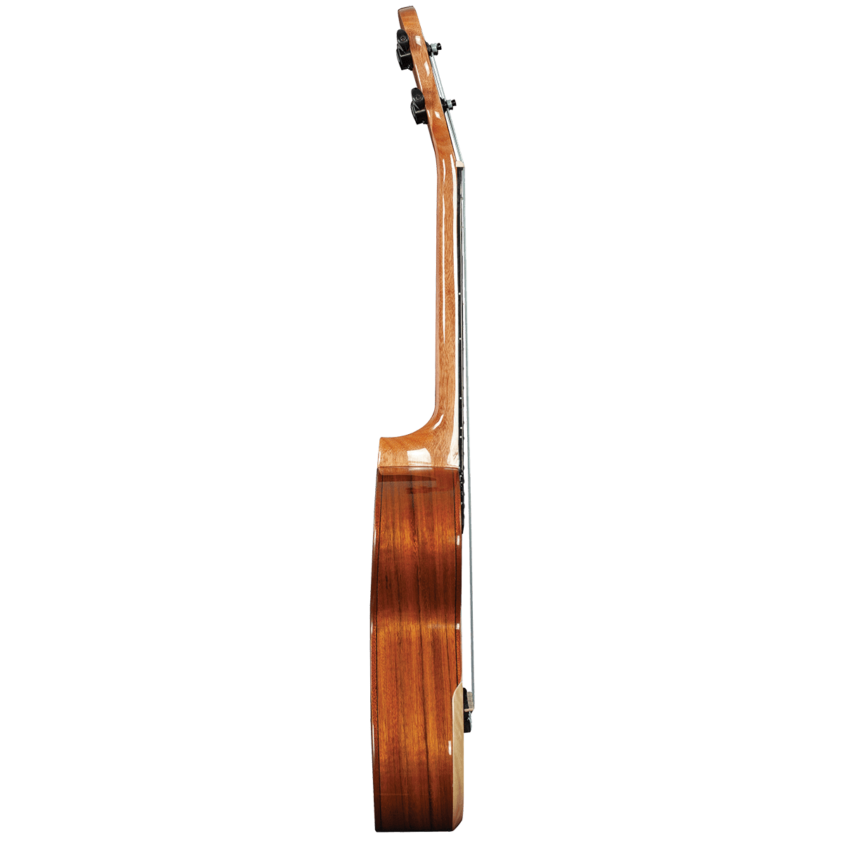 Ukulele Barnes & Mullins GIG Guitars