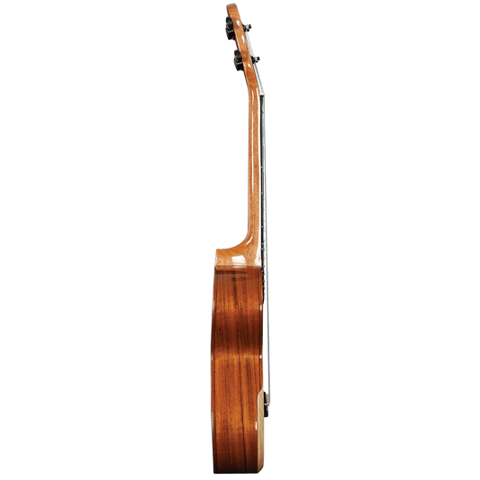Barnes & Mullins BMUK5C Concert Walnut Ukulele Barnes & Mullins Ukulele