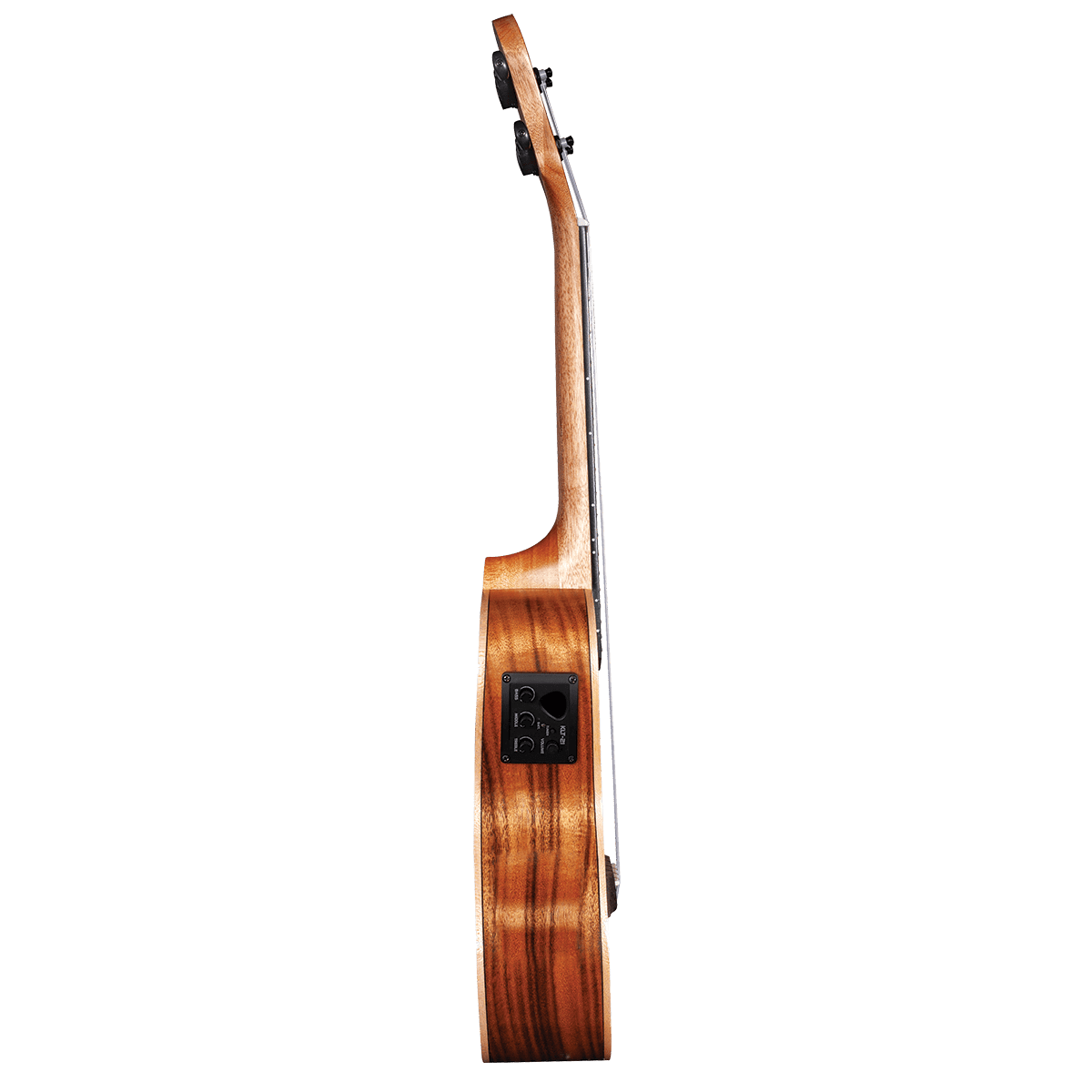 Ukulele Barnes & Mullins GIG Guitars