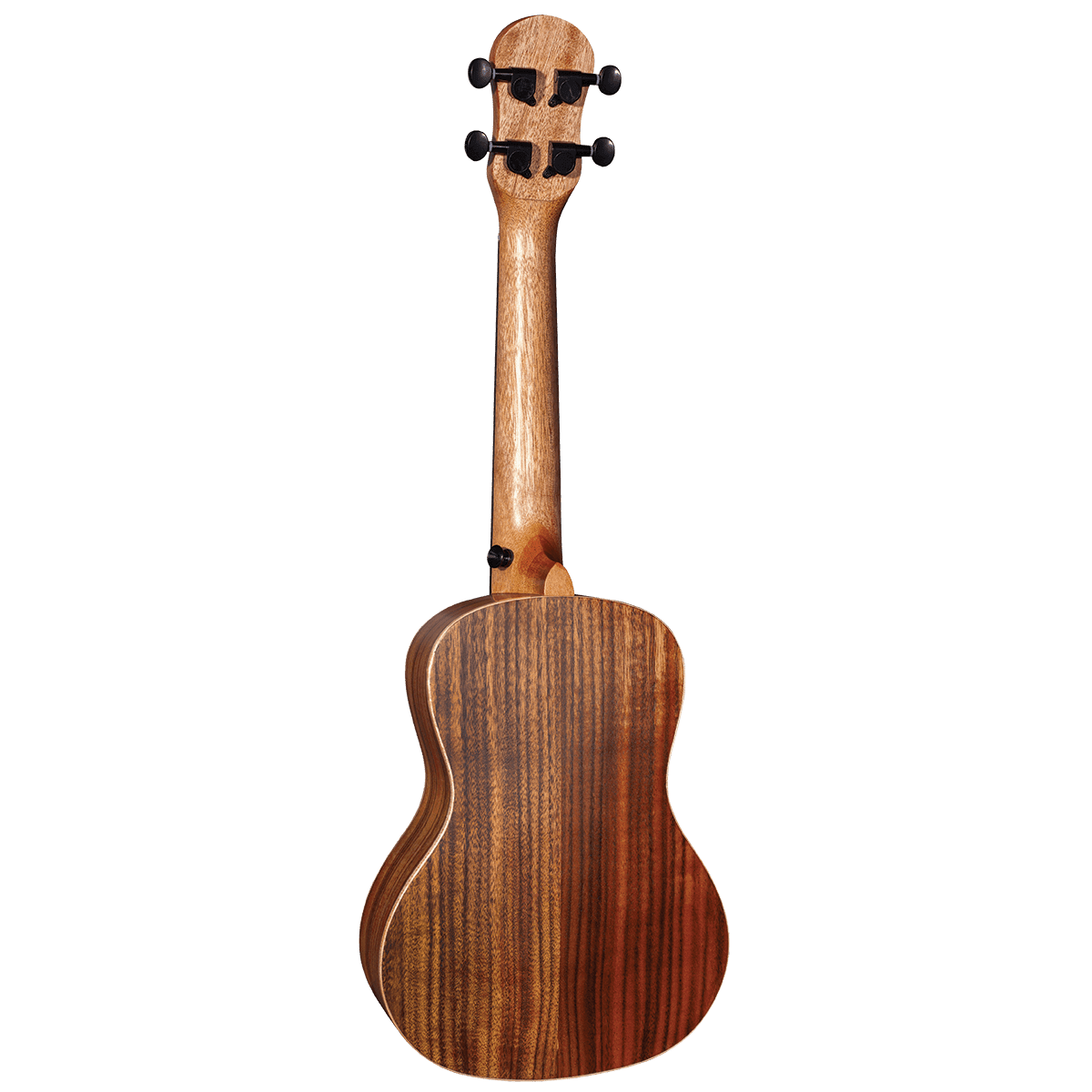 Ukulele Barnes & Mullins GIG Guitars