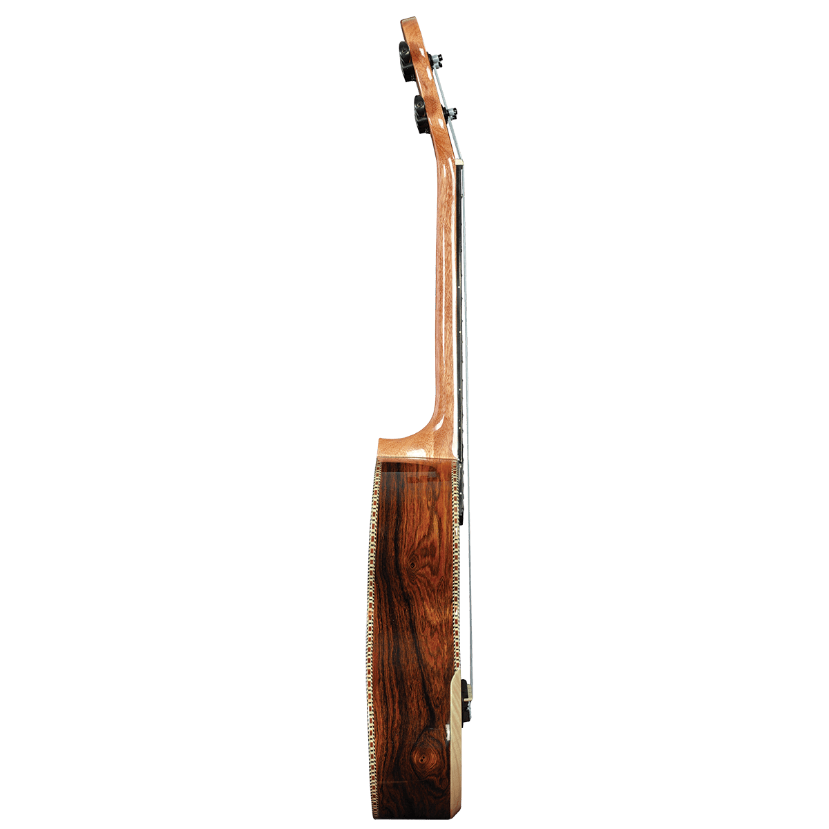 Barnes & Mullins BMUK8C Concert Becote Ukulele Barnes & Mullins Ukulele