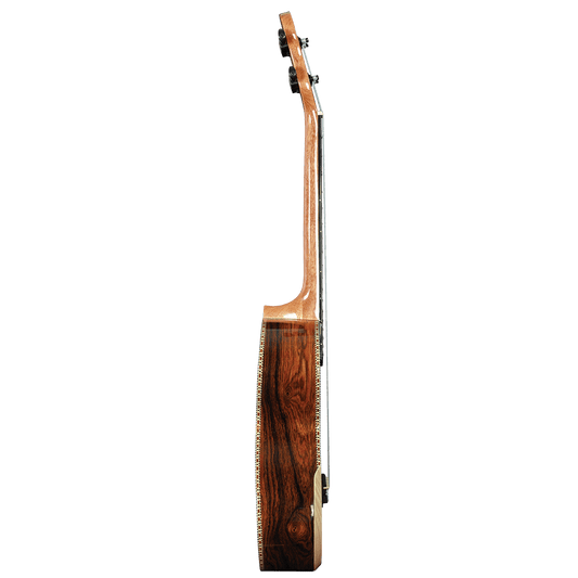 Barnes & Mullins BMUK8C Concert Becote Ukulele Barnes & Mullins Ukulele
