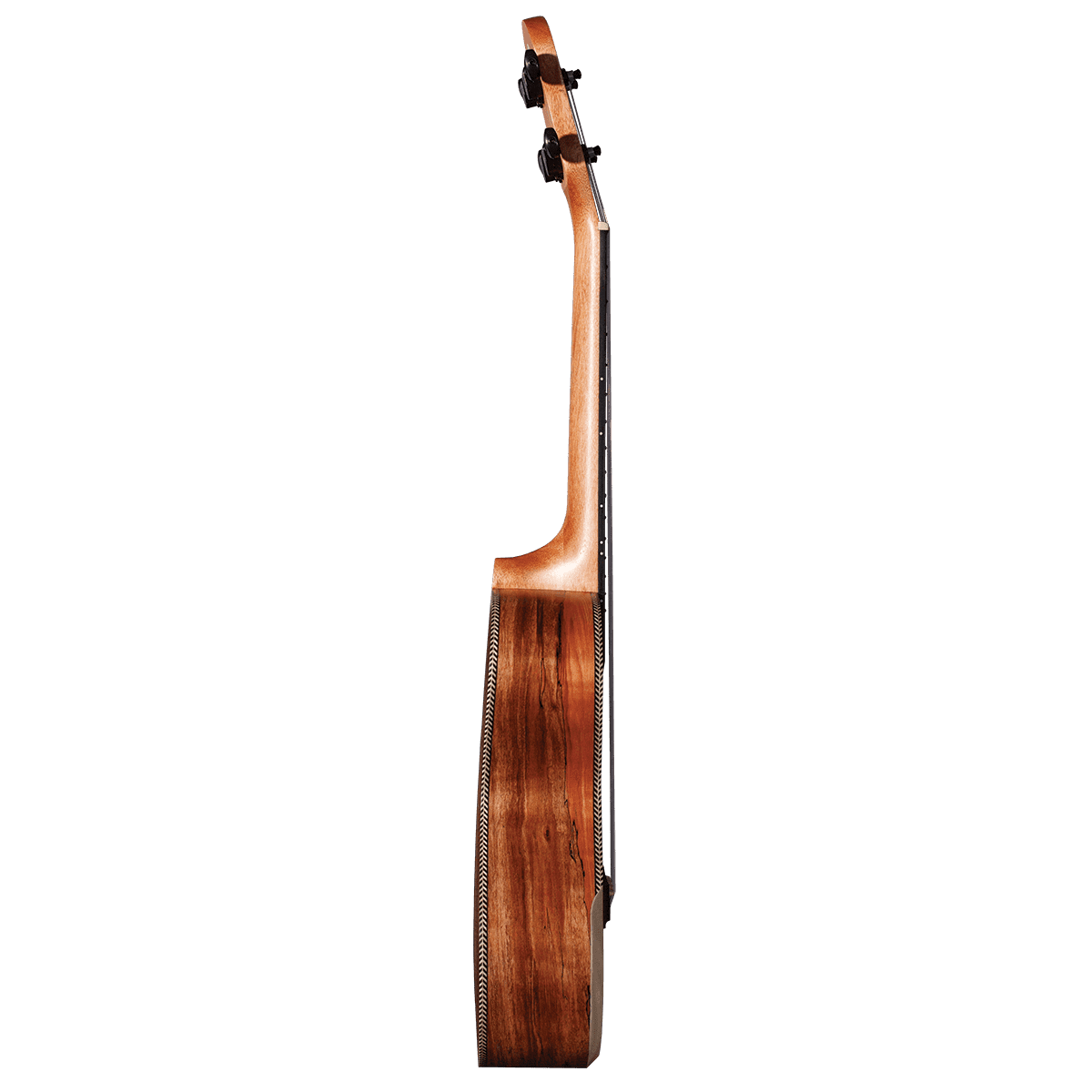 Ukulele Barnes & Mullins GIG Guitars