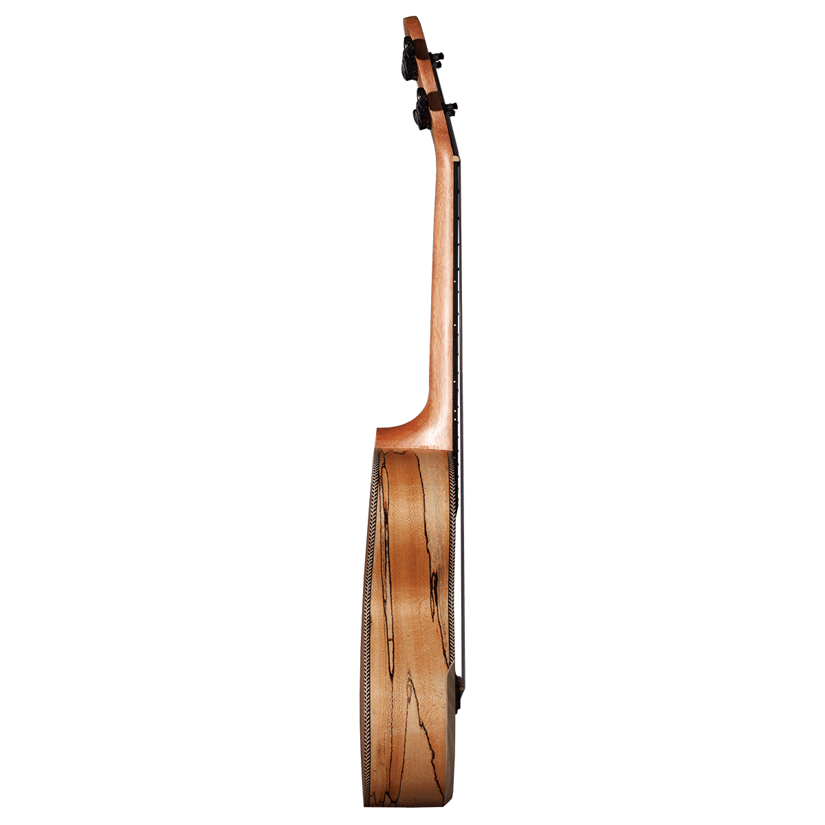 Ukulele Barnes & Mullins GIG Guitars