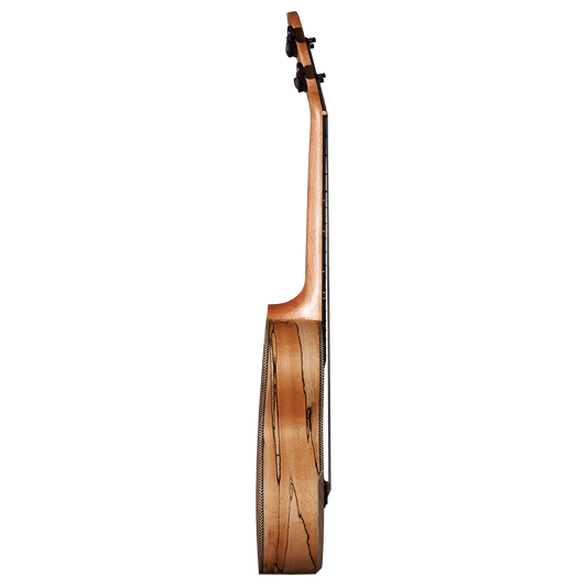 Barnes & Mullins BMUK9T Tenor Spalt Maple Ukulele Barnes & Mullins Ukulele