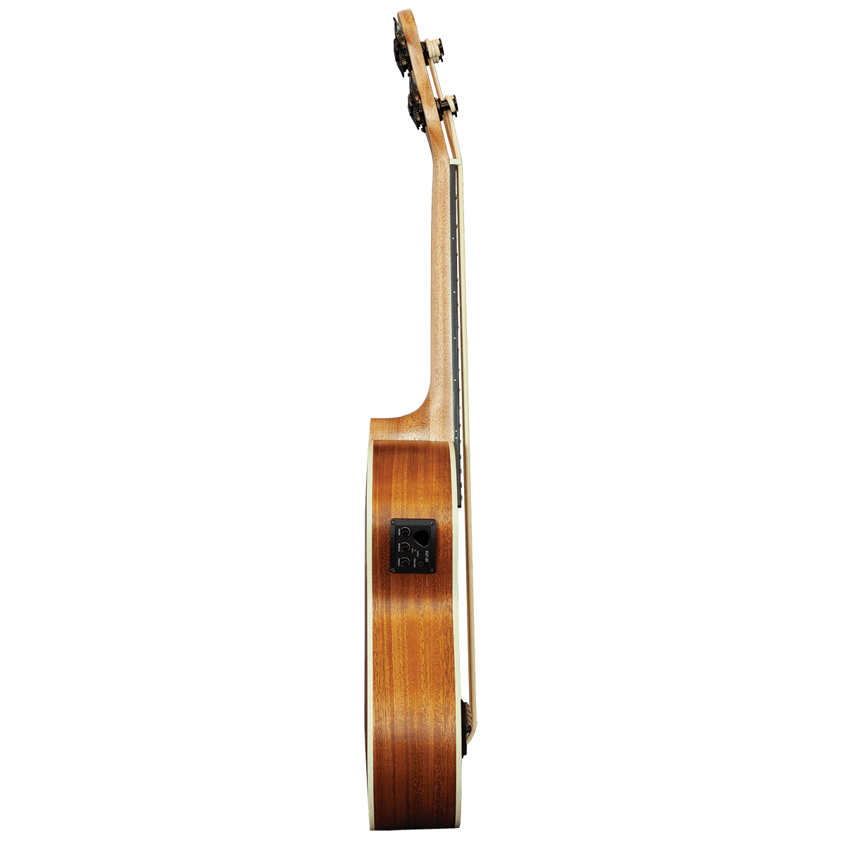 Ukulele Barnes & Mullins GIG Guitars
