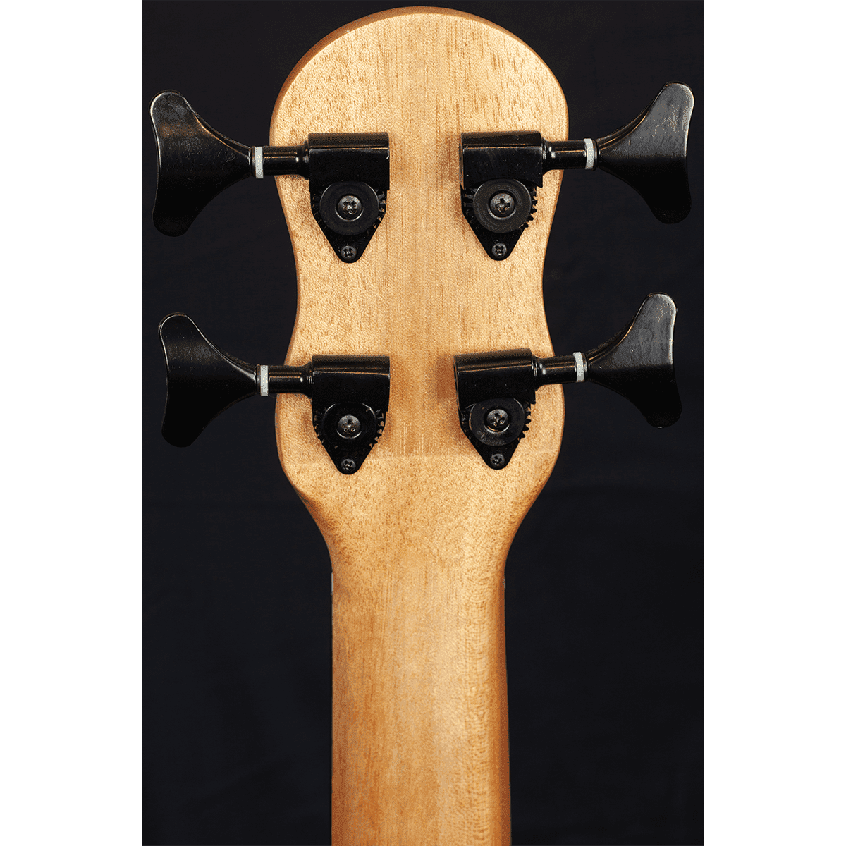 Ukulele Barnes & Mullins GIG Guitars
