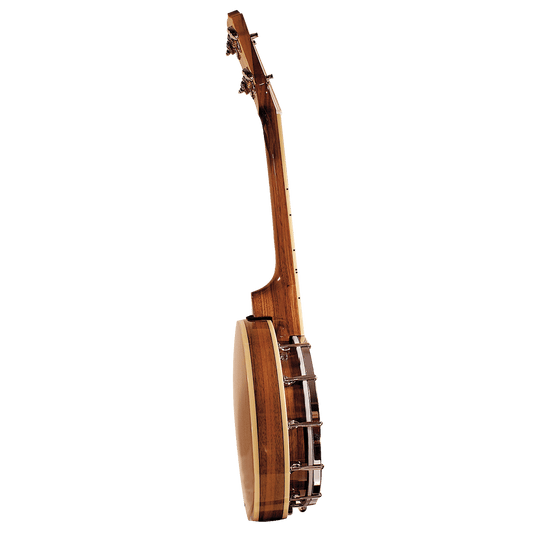 Barnes & Mullins BUBJ1 Banjo-lele Uke Banjo Barnes & Mullins Ukulele