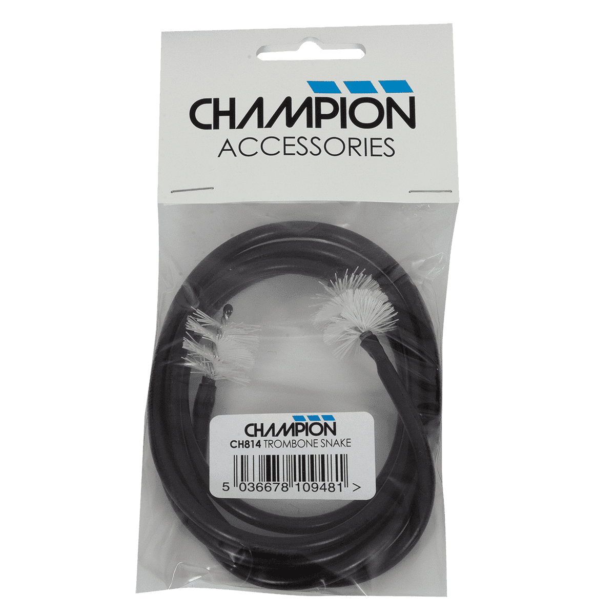 Brass Insrument Maintenance Champion GIG Guitars