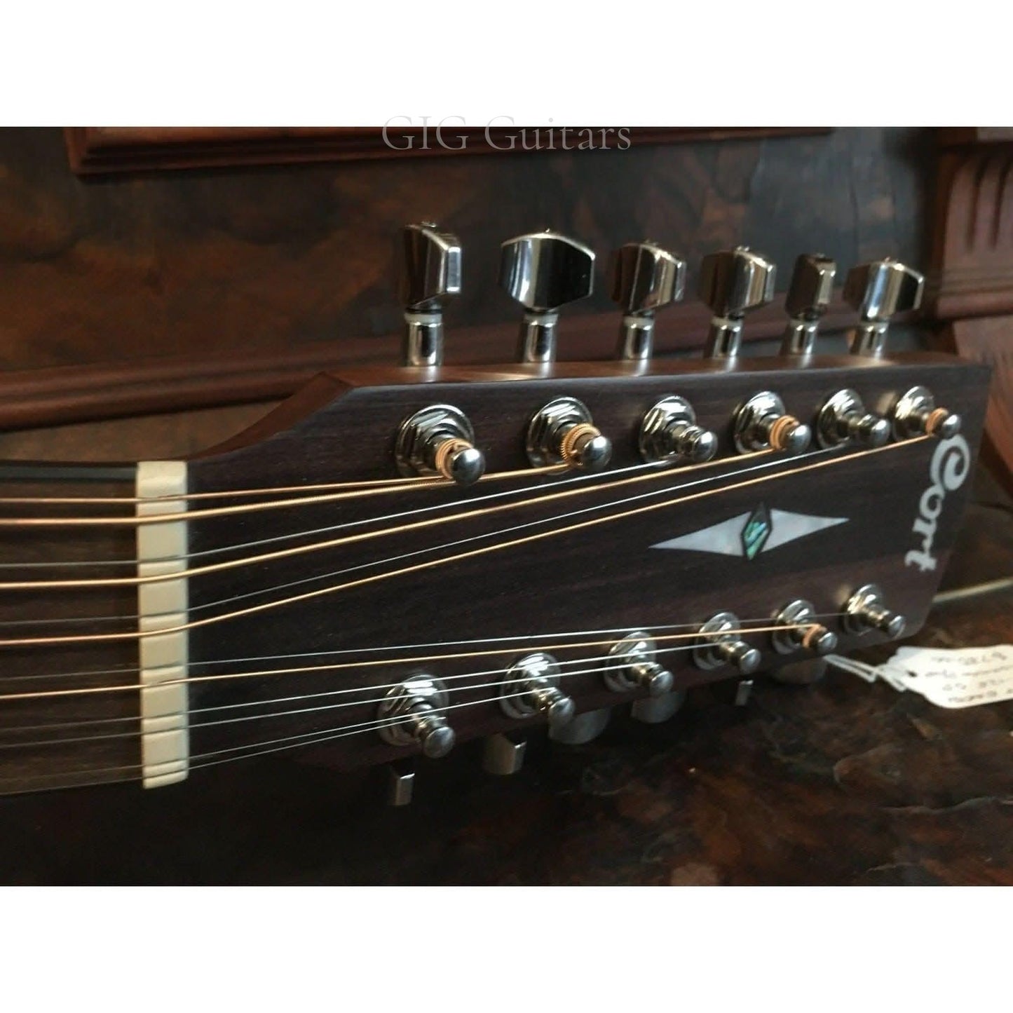 Acoustic/Electric Guitars Cort GIG Guitars