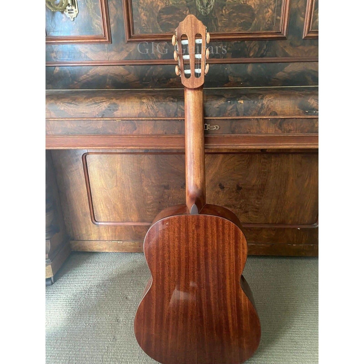 Classical Guitar Cort GIG Guitars