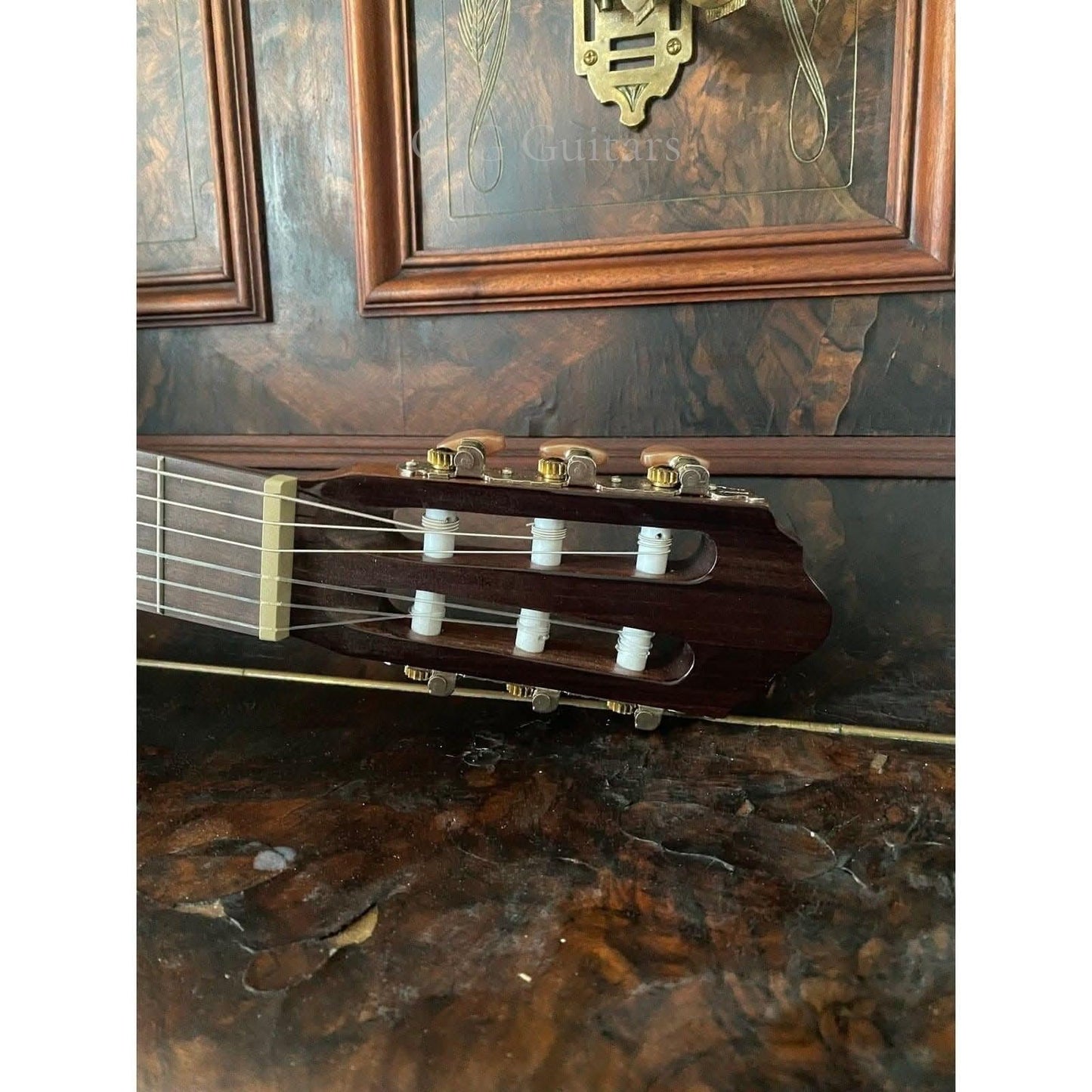 Classical Guitar Cort GIG Guitars