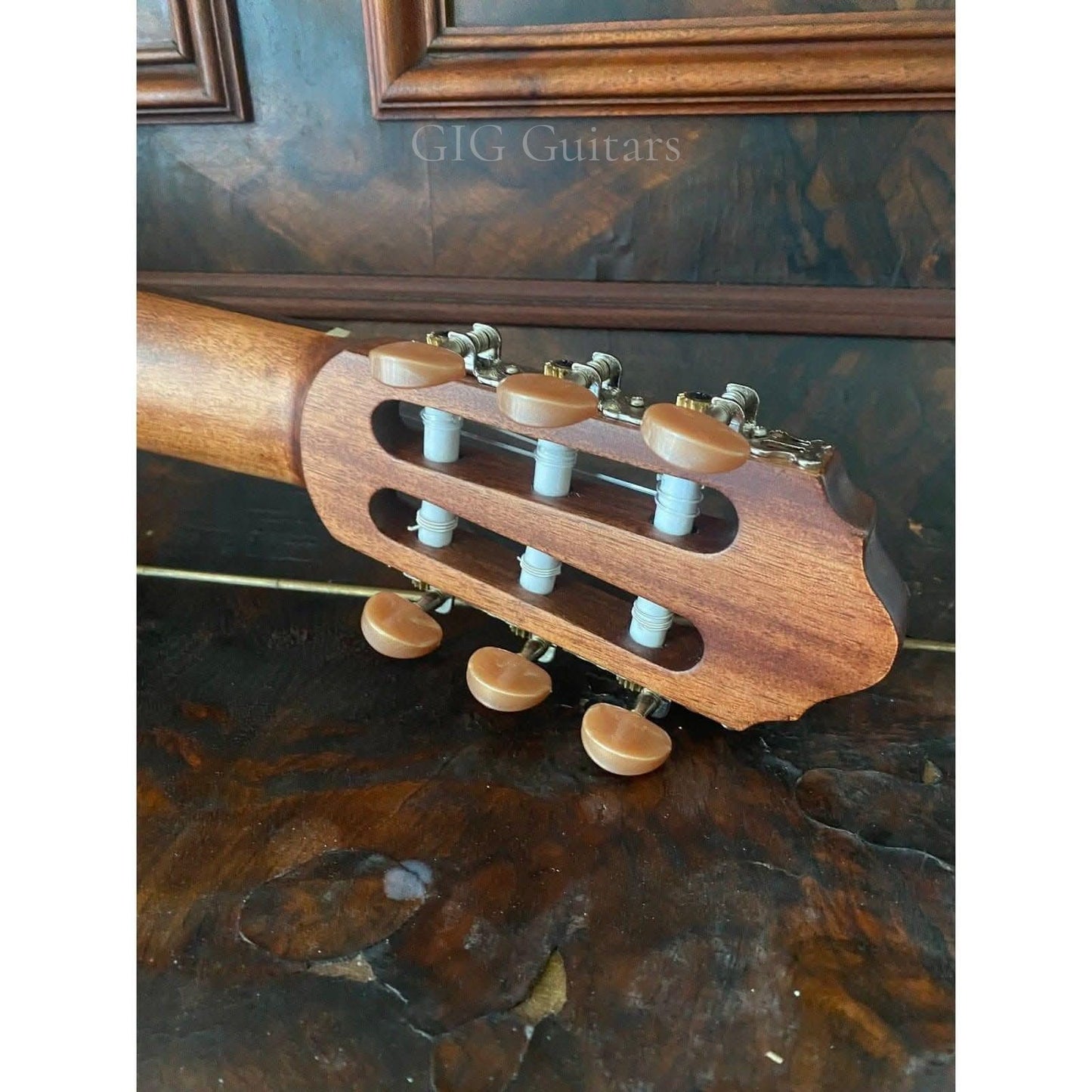 Classical Guitar Cort GIG Guitars