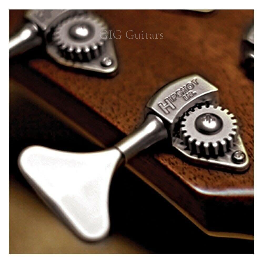 Bass Guitars Cort GIG Guitars