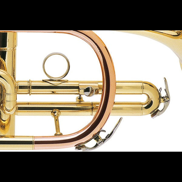 J.Michael CT420 Cornet (Bb) in Clear Lacquer Finish