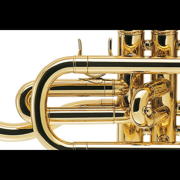 J.Michael CT420 Cornet (Bb) in Clear Lacquer Finish