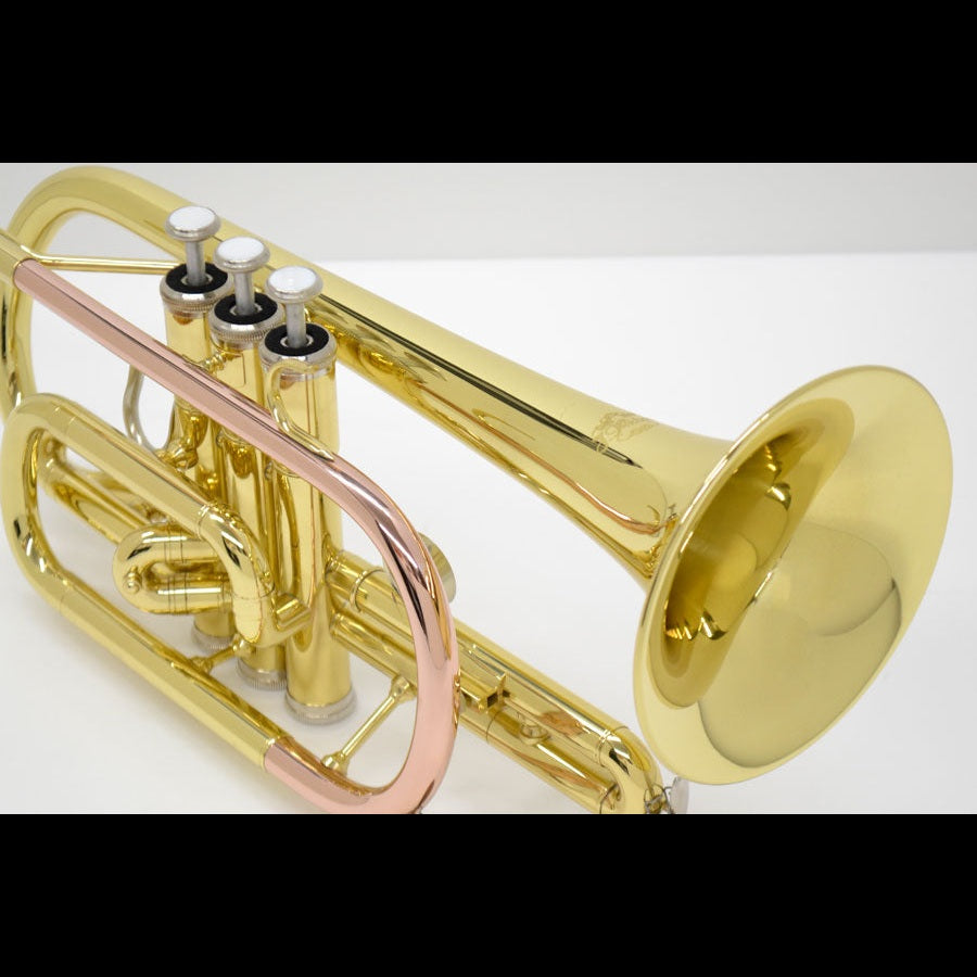 J.Michael CT420 Cornet (Bb) in Clear Lacquer Finish