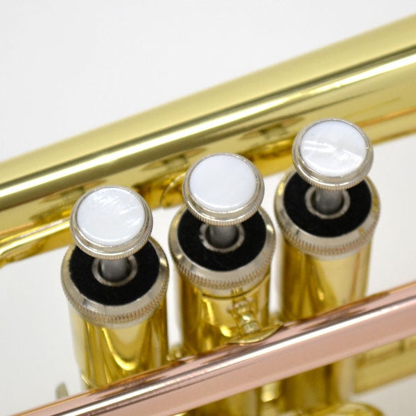 J.Michael CT420 Cornet (Bb) in Clear Lacquer Finish