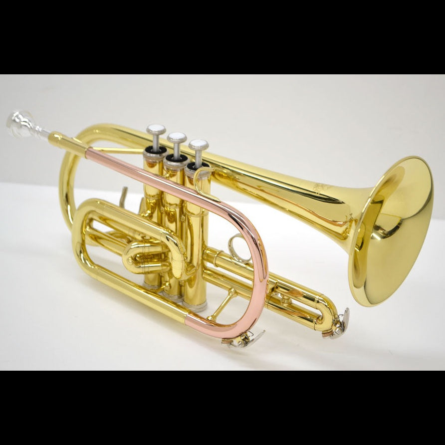 J.Michael CT420 Cornet (Bb) in Clear Lacquer Finish