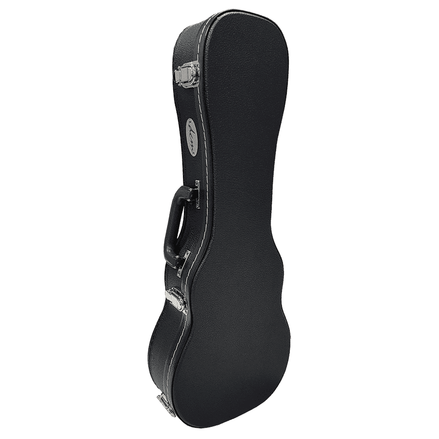 Hard Cases DCM GIG Guitars
