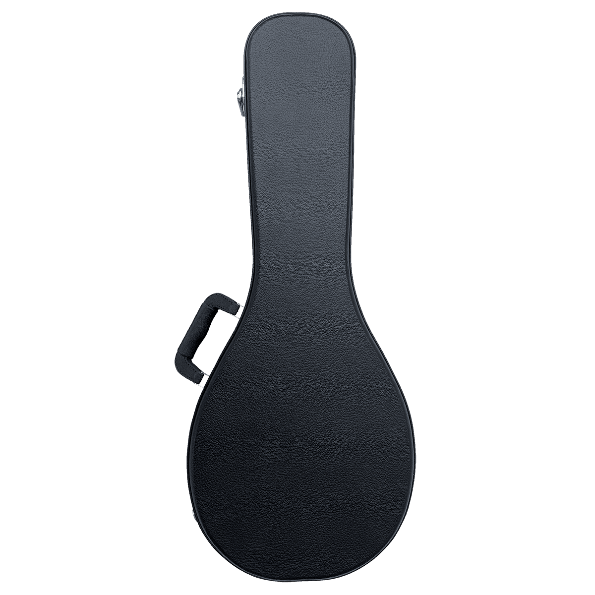 Mandolin Hard Cases DCM GIG Guitars