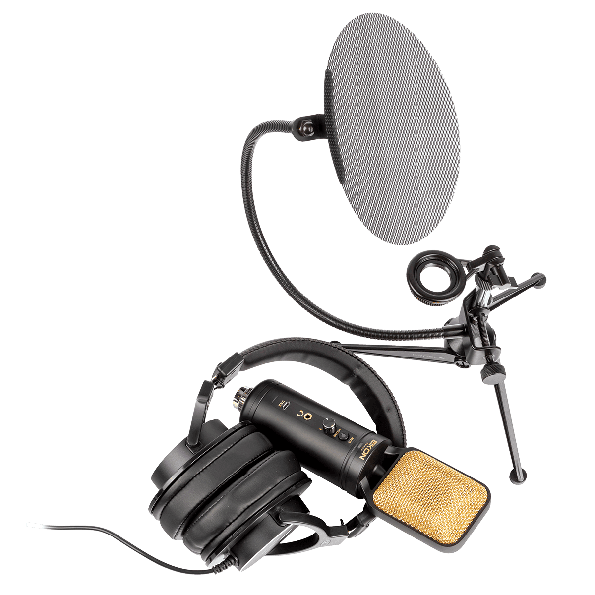 Microphone Eikon GIG Guitars