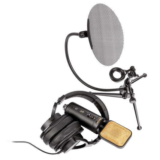 Eikon EKSBTWO Advanced home recording bundle Eikon Microphone