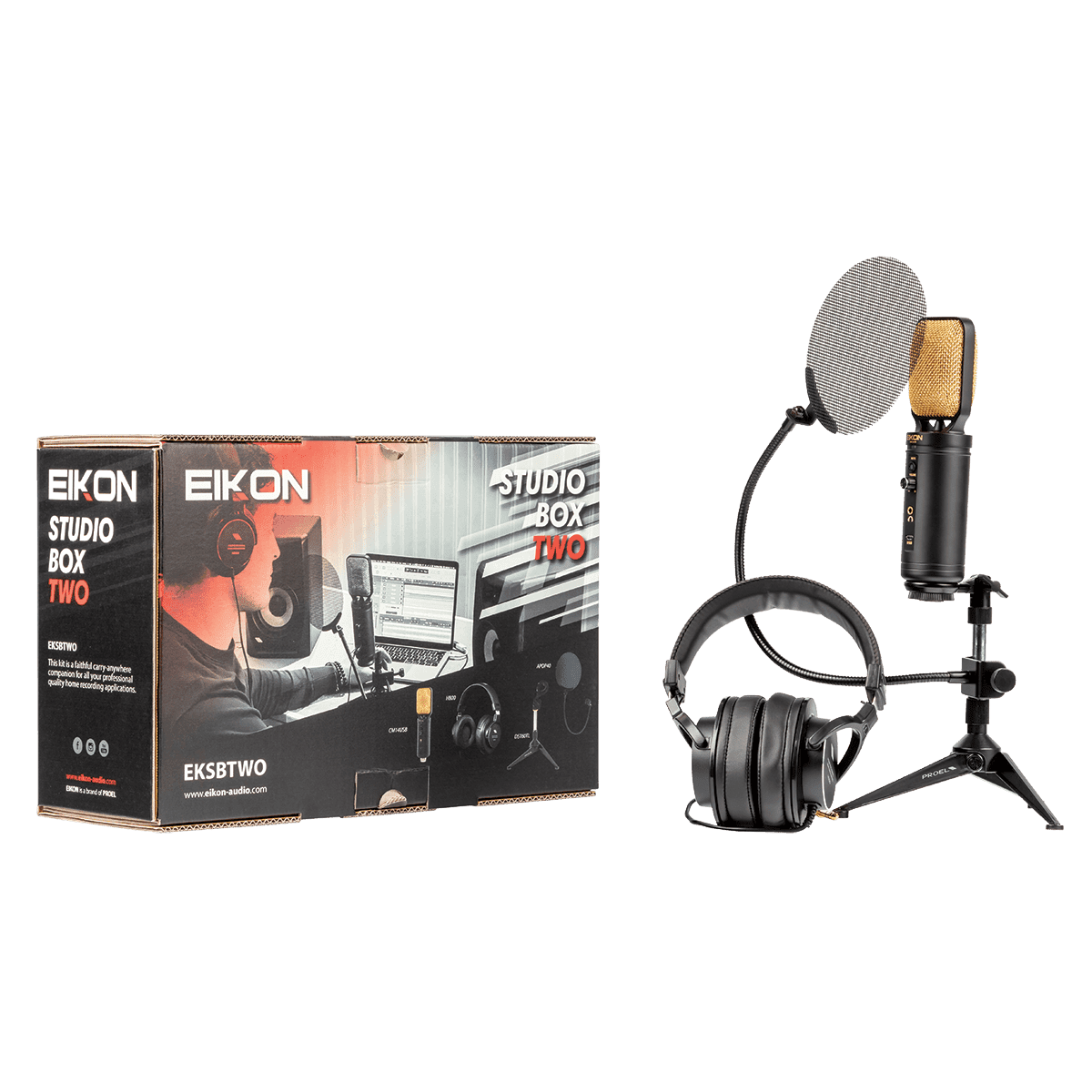 Microphone Eikon GIG Guitars