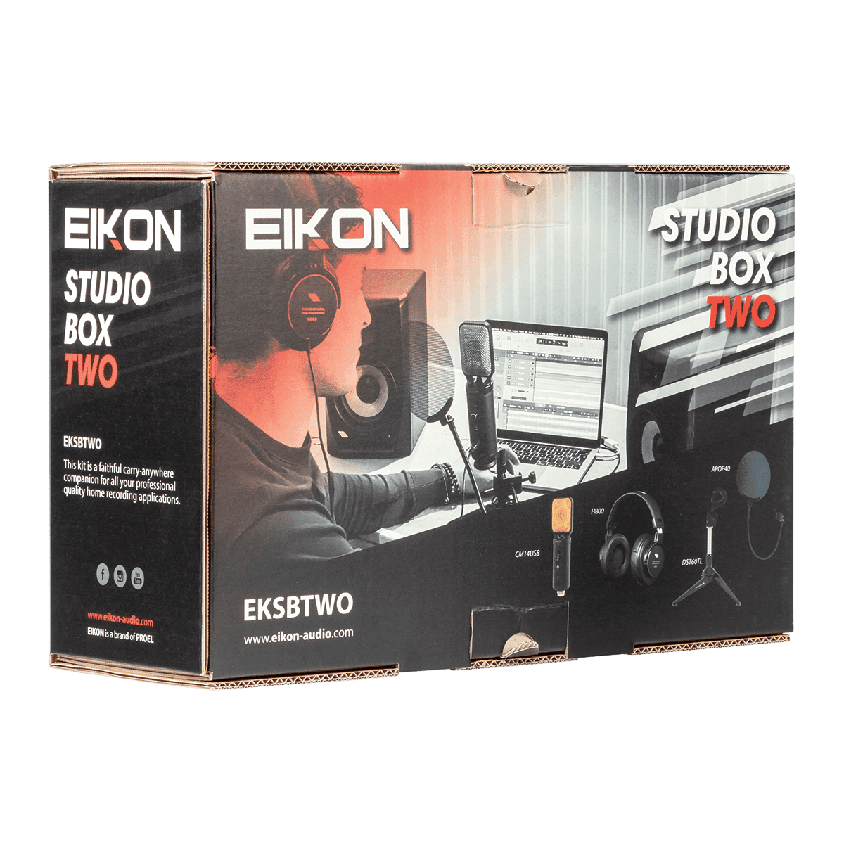 Microphone Eikon GIG Guitars