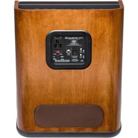 Acoustic Amps Fender GIG Guitars
