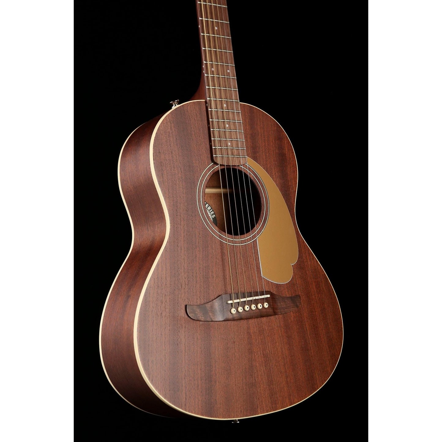 Acoustic Guitars Fender GIG Guitars