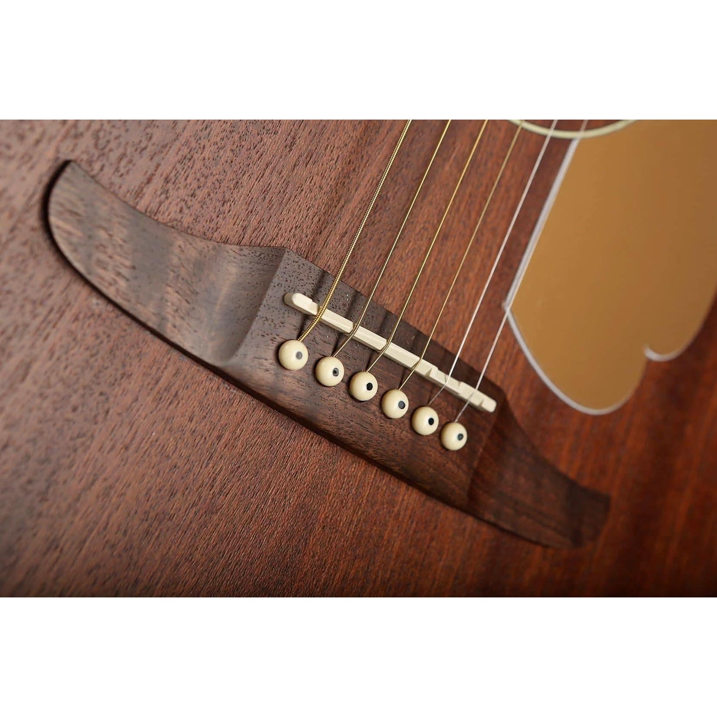 Acoustic Guitars Fender GIG Guitars