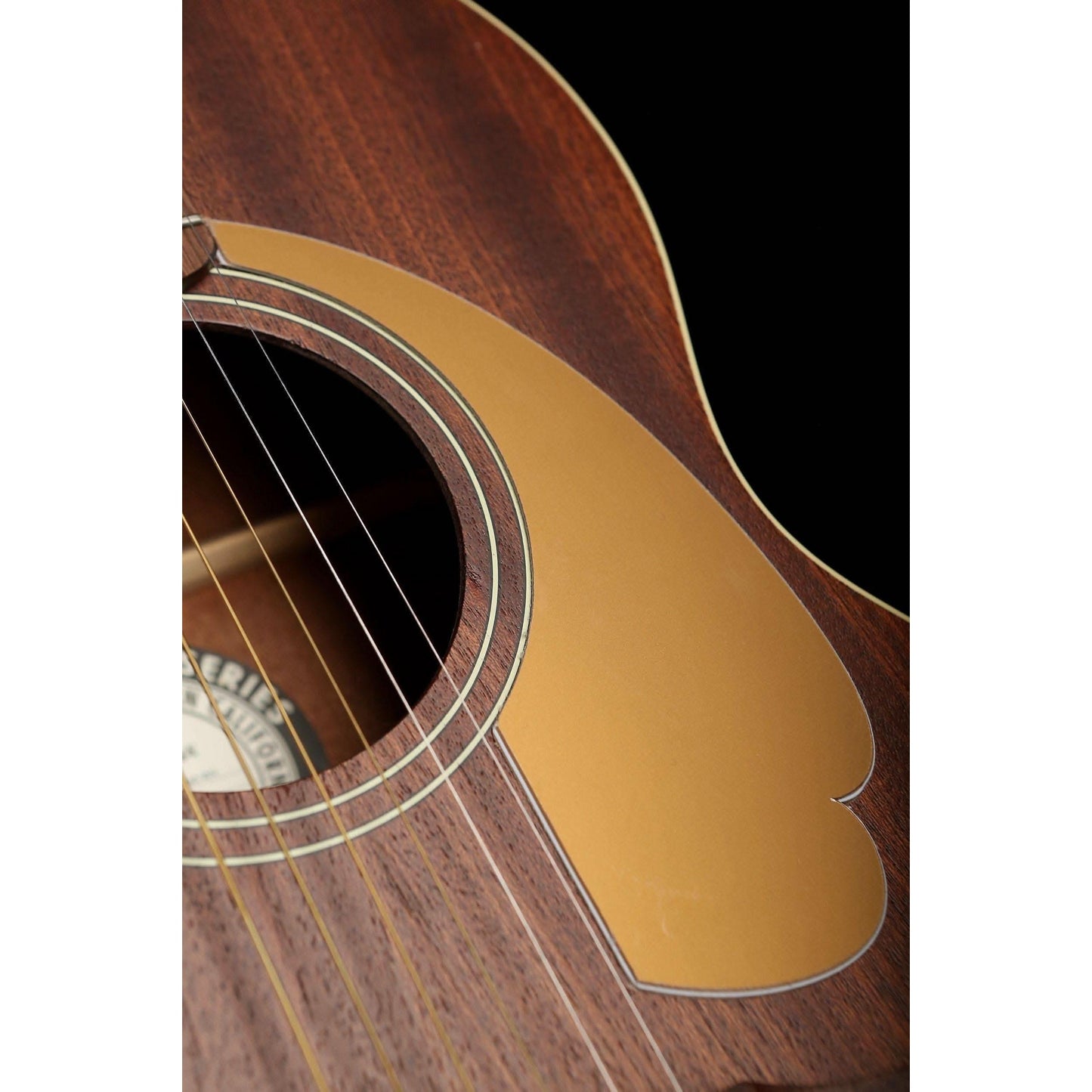 Acoustic Guitars Fender GIG Guitars