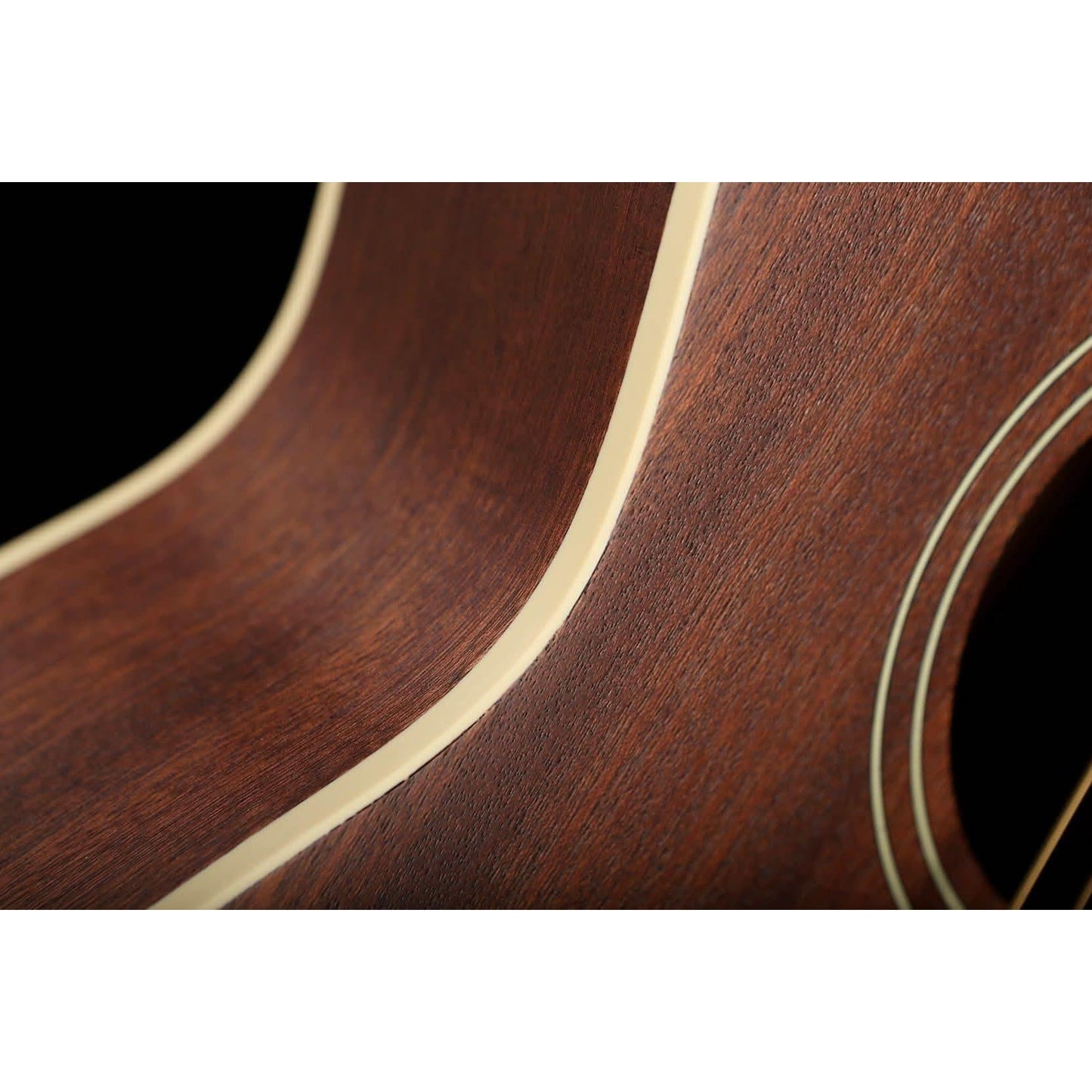 Acoustic Guitars Fender GIG Guitars